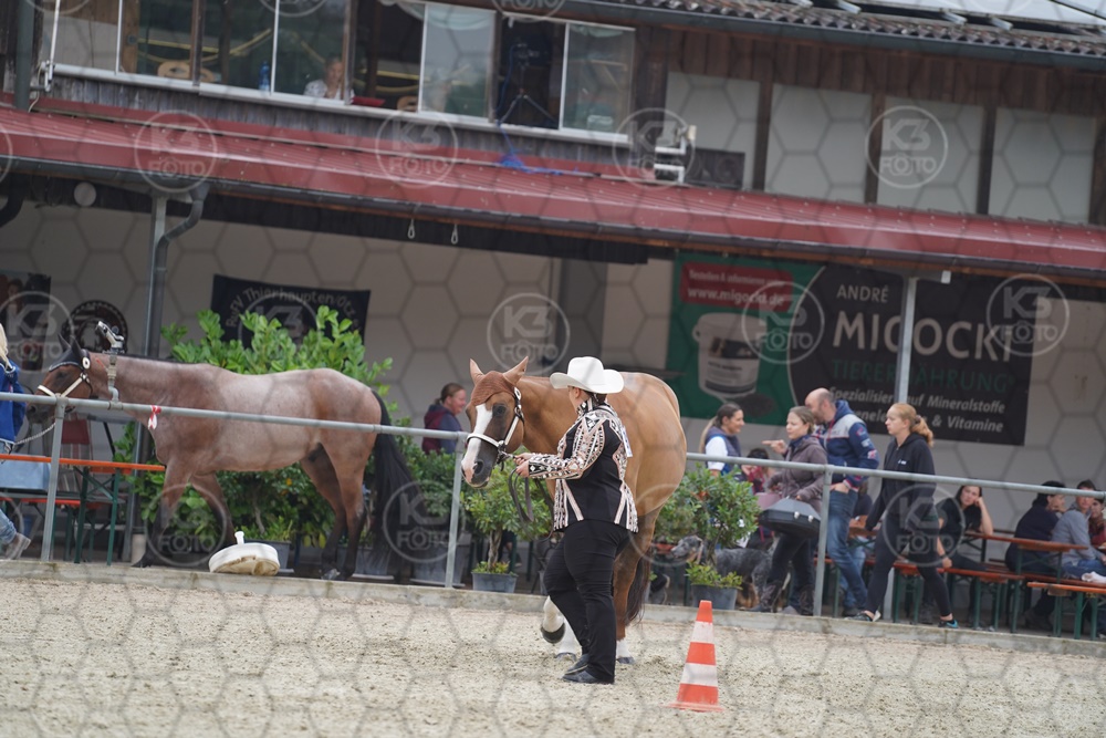 DSC03518.JPG